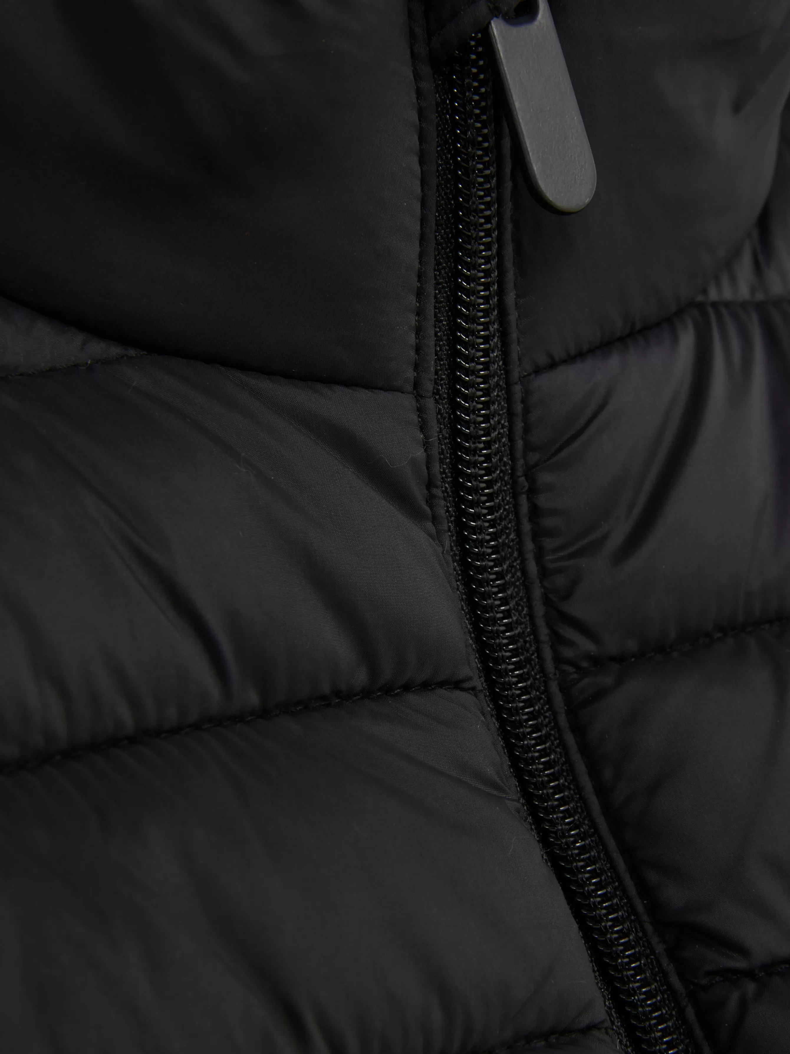 colete_acolchoado_c_fecho_de_correr_4.webp Primark Colete Acolchoado C/ Fecho De Correr