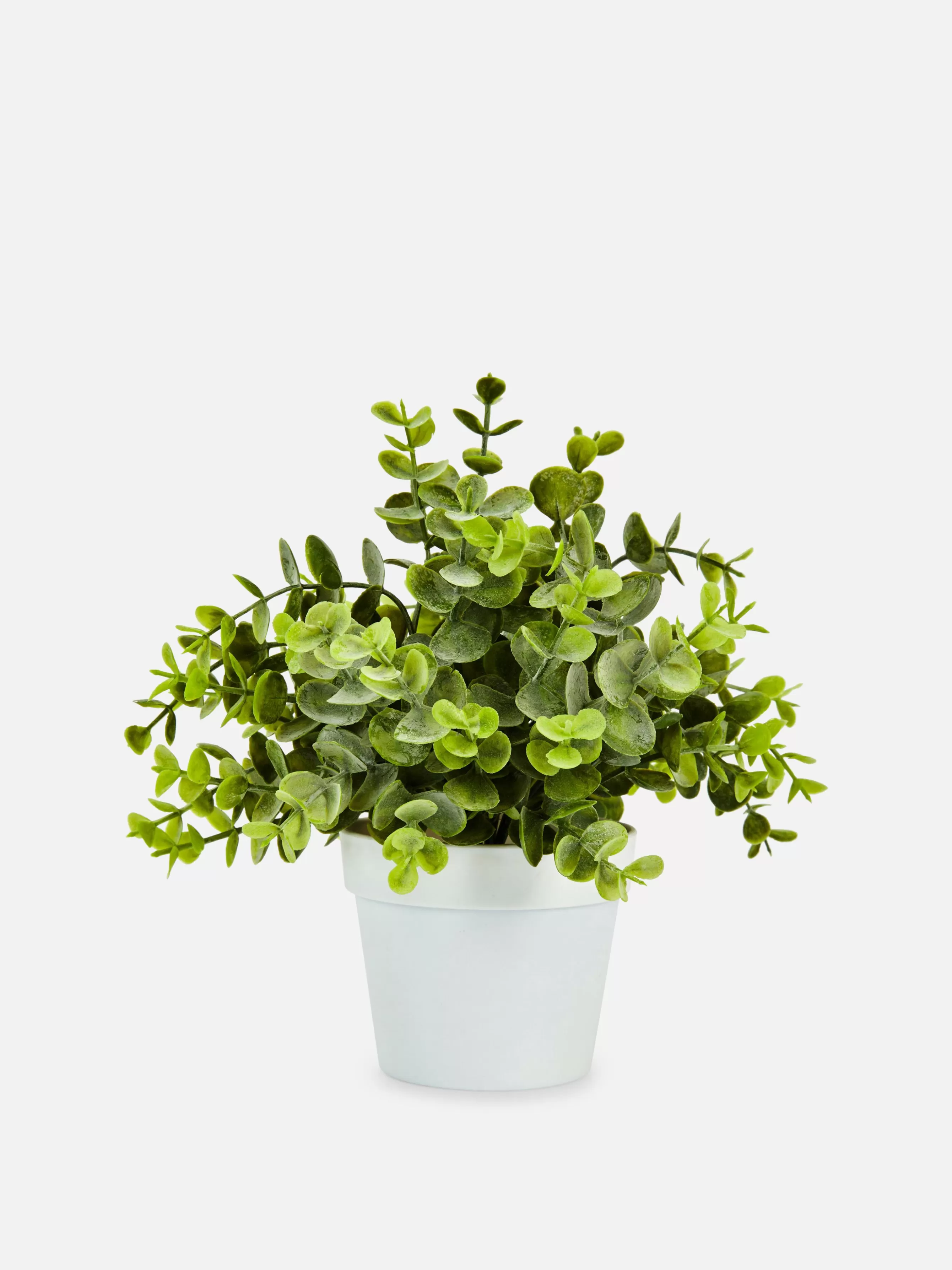 Primark Eucalipto Artificial Pequeno