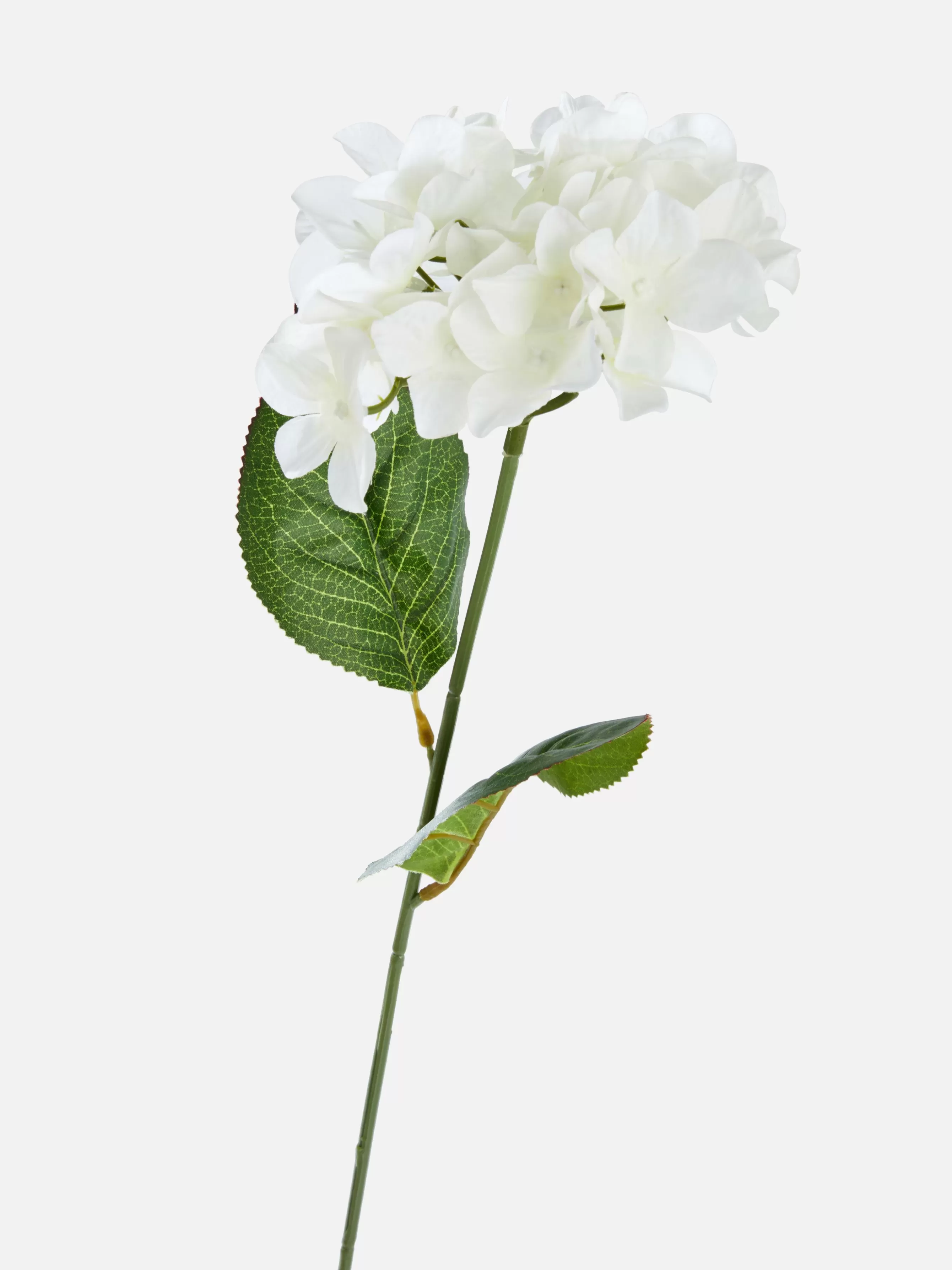 Primark Flor Artificial Haste única