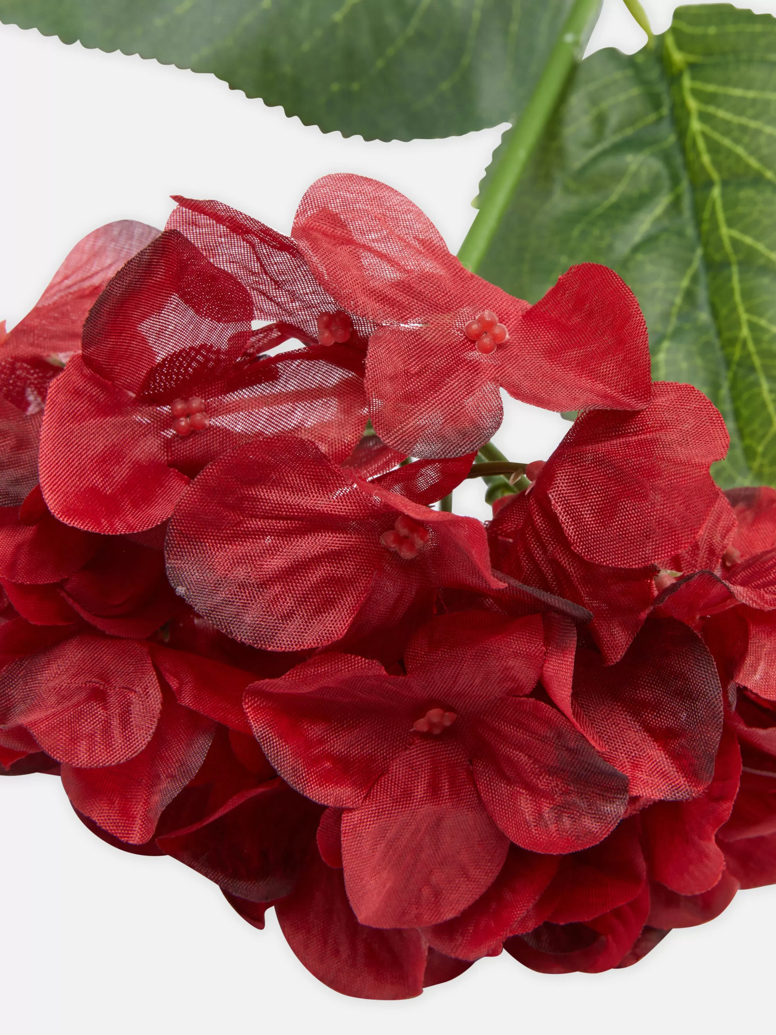 Primark Flor Artificial Haste única