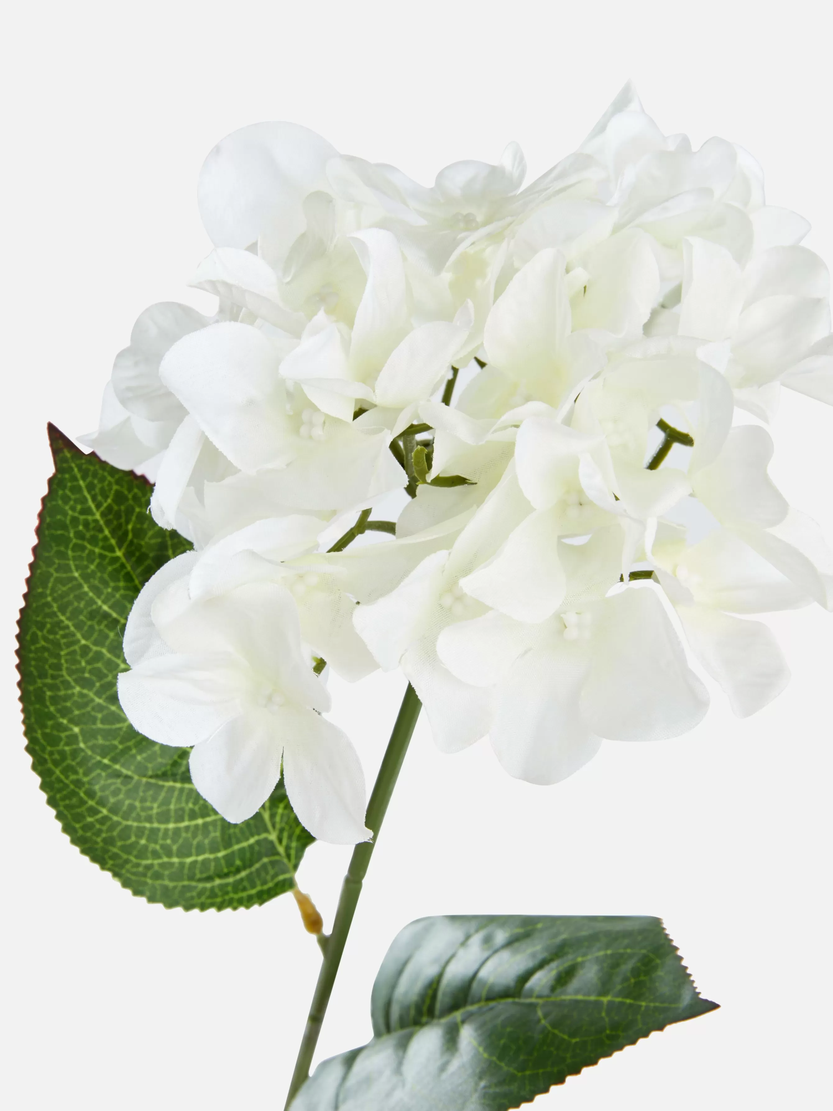 Primark Flor Artificial Haste única
