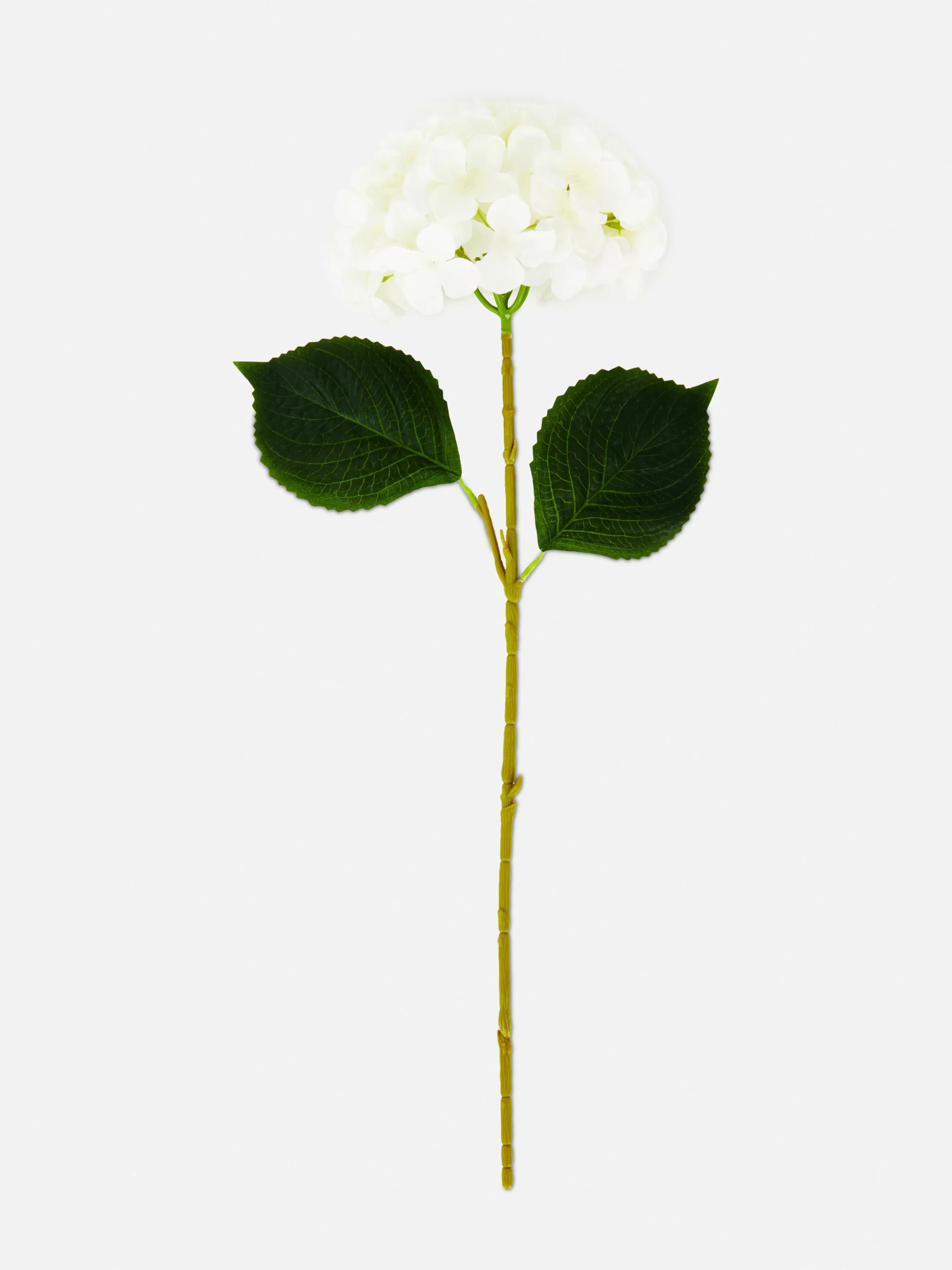 Primark Hortênsia Artificial Haste única