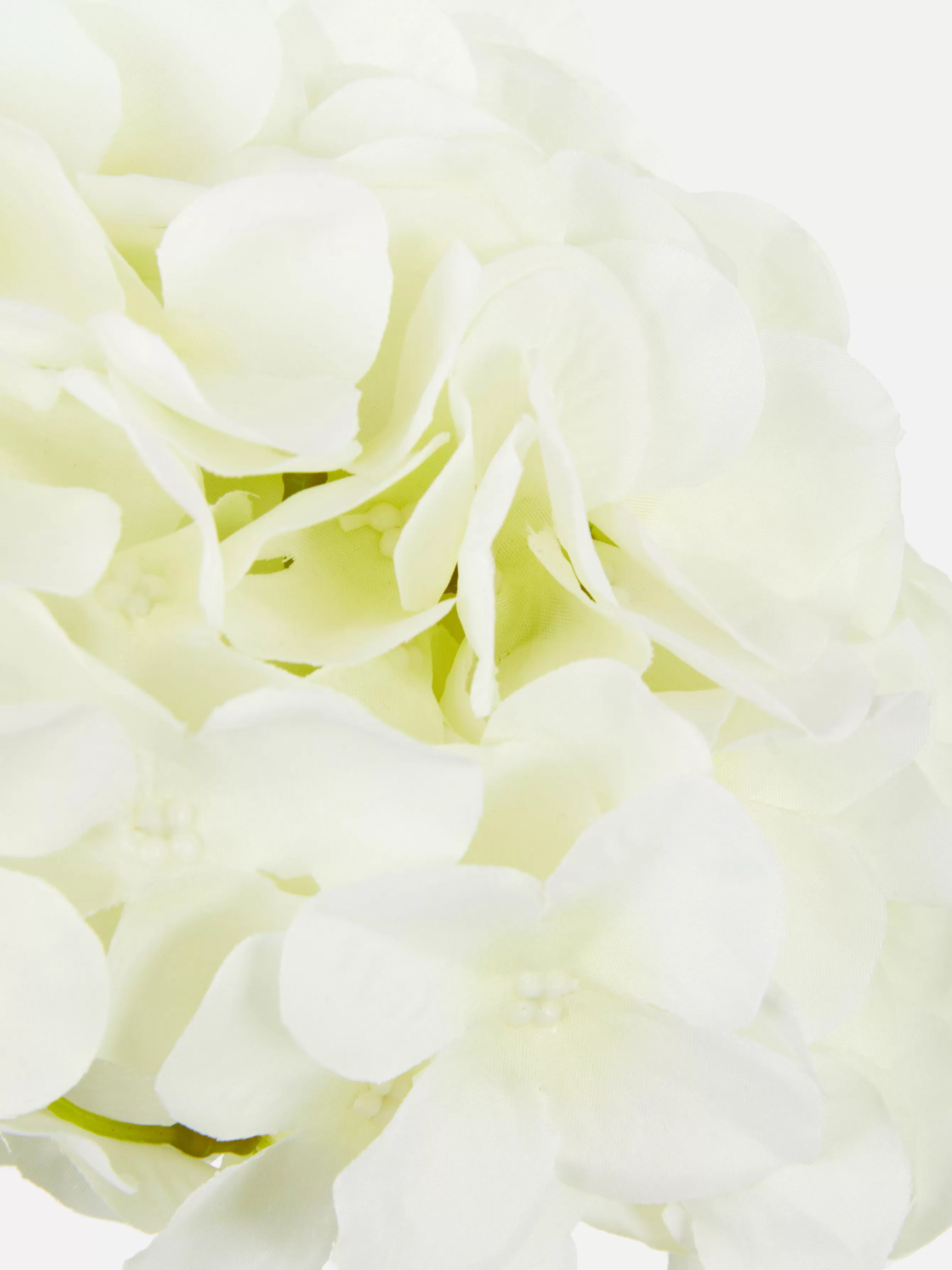 Primark Hortênsia Artificial Haste única