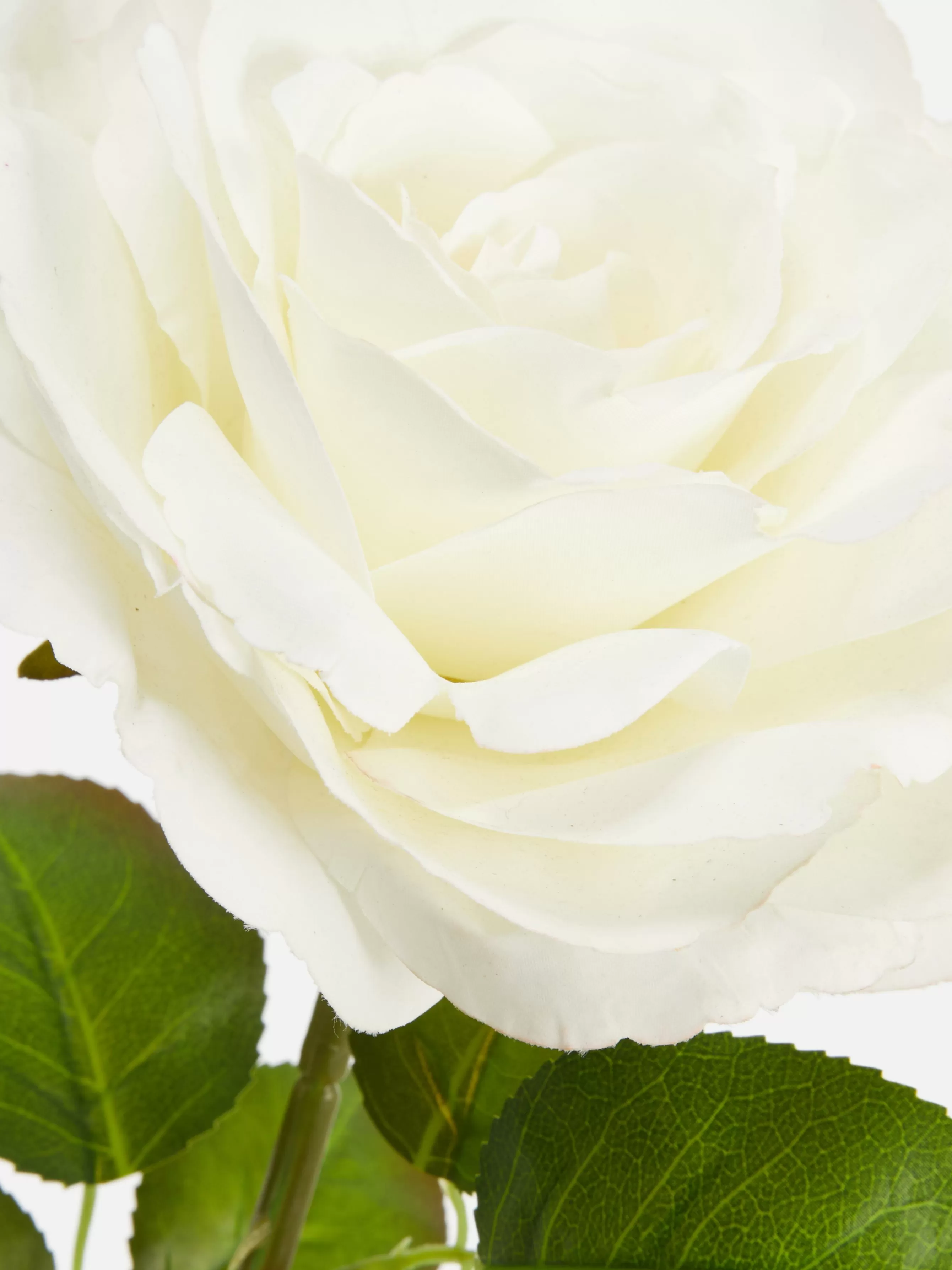 Primark Rosa Artificial Haste única